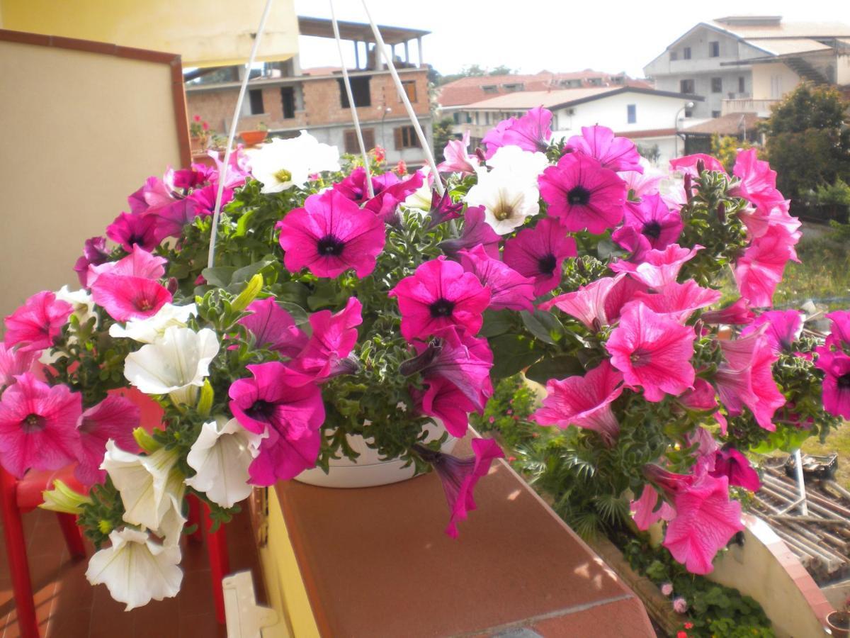 B&B Del Sole Tropea Riaci Exterior photo